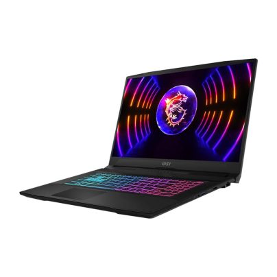 MSI Notebook Katana 17 B13VEK-232IT Monitor 17.3